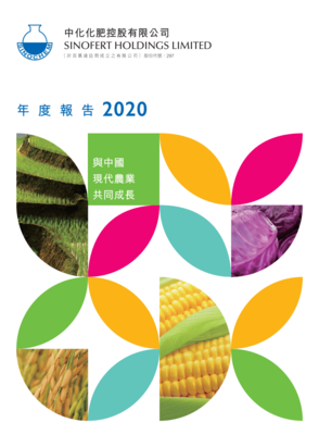 00297中化化肥2020年报.pdf